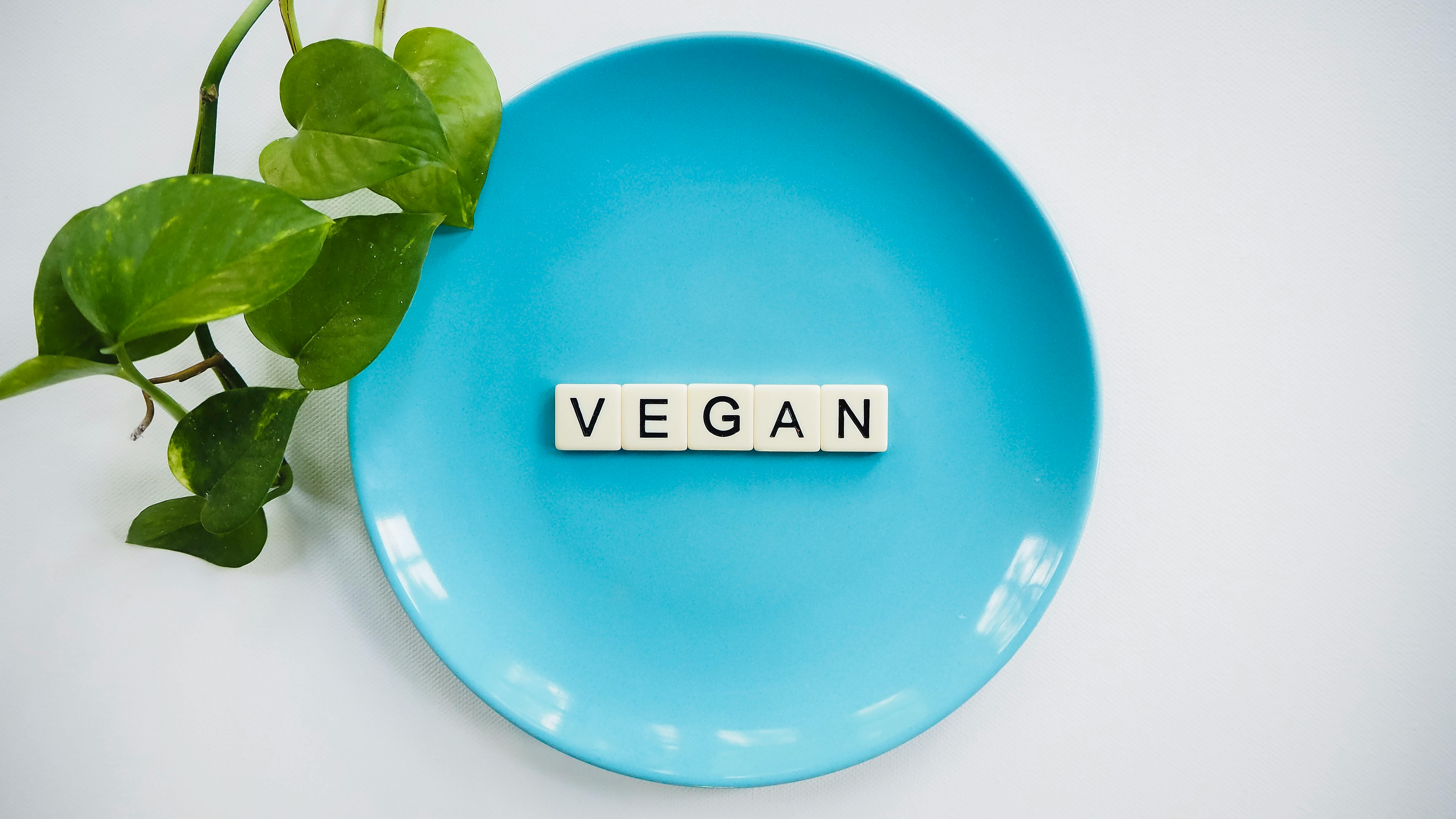 Vegan Diyet