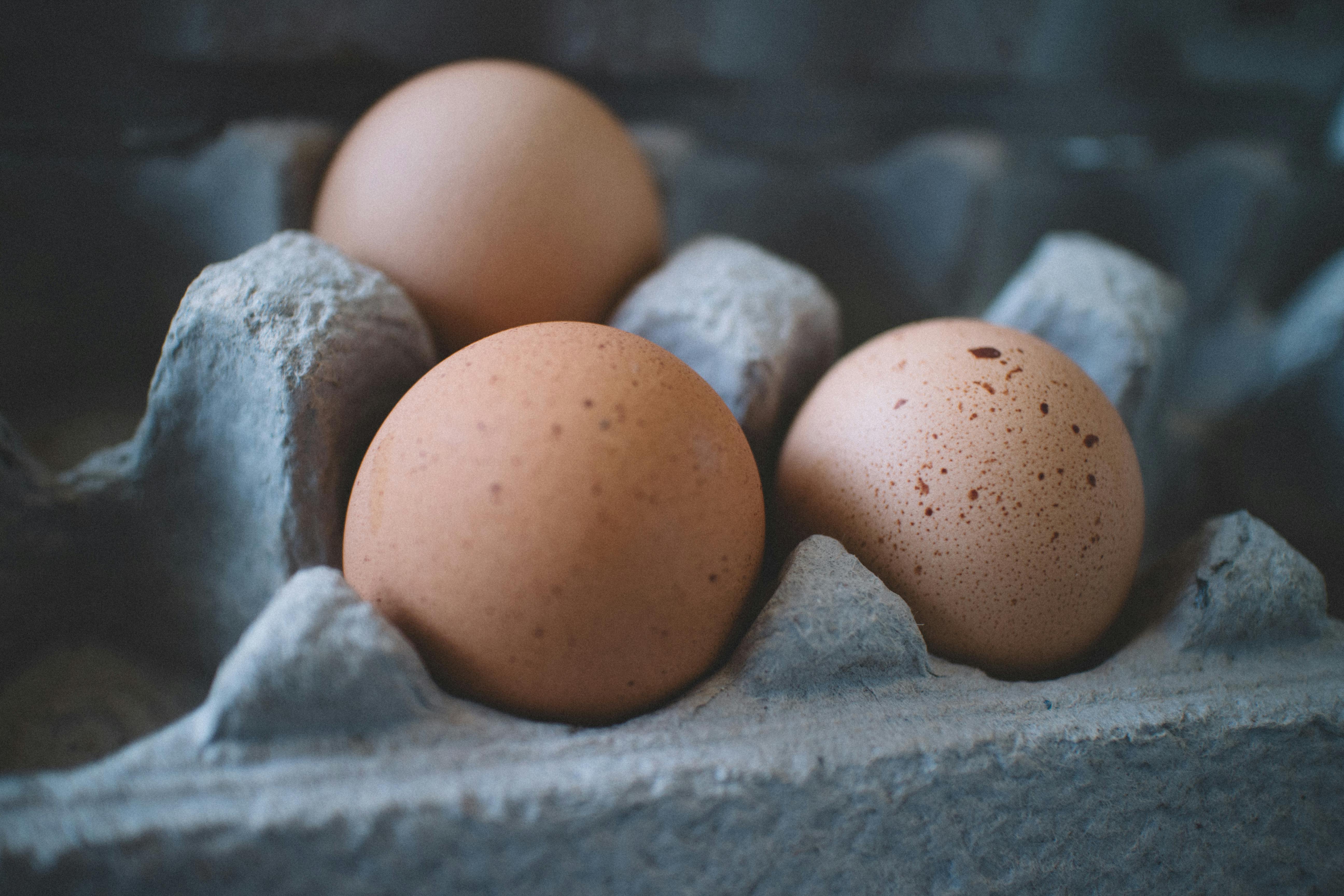Protein Diyetinin Sağlığa Faydaları ve Riskleri